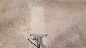 carpet cleaning lake ozark MO carpet cleaning lake ozark MO