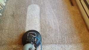 carpet cleaning eldon mo