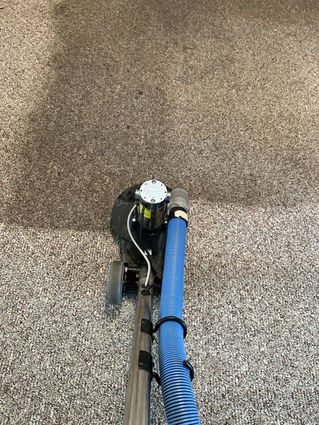 carpet deep cleaning